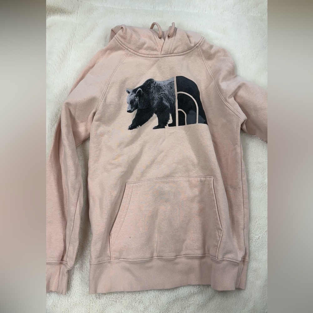 The North Face Bear Hoodie
